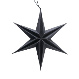 [2100000001873] Papierstern schwarz 40 cm