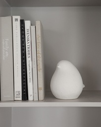 [2100000022601] HARRY small bird von Storefactory 